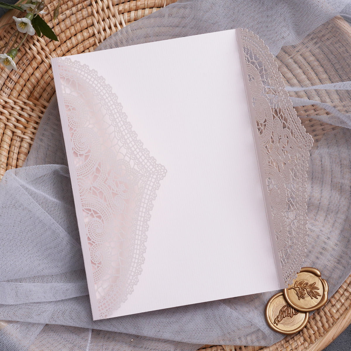 PONATIA Multi-color Gorgeous Chantilly Lace Laser Cut Pockets Series WSWL0077