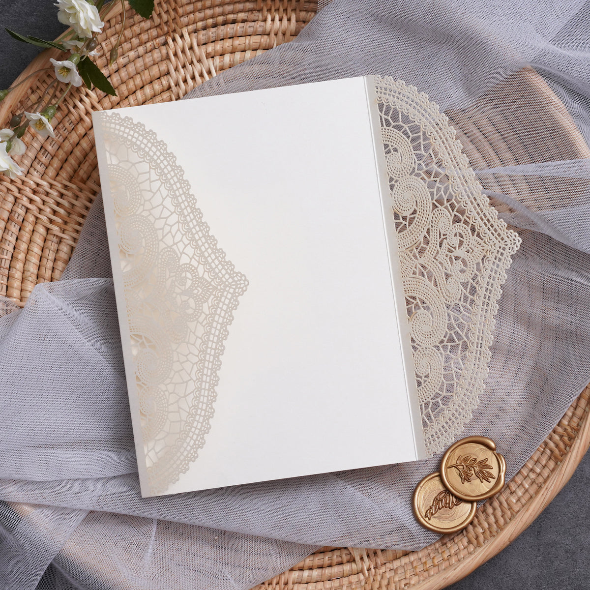PONATIA Multi-color Gorgeous Chantilly Lace Laser Cut Pockets Series WSWL0077